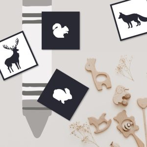 CARTES BÉBÉS MONTESSORI 0-3 mois