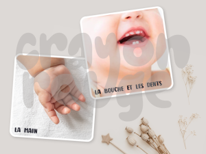 CARTES MONTESSORI - Corps humain
