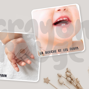 CARTES MONTESSORI - Corps humain