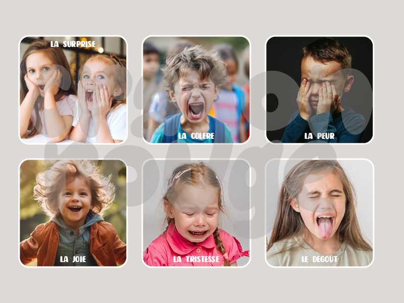 CARTES MONTESSORI - Émotions – Image 2