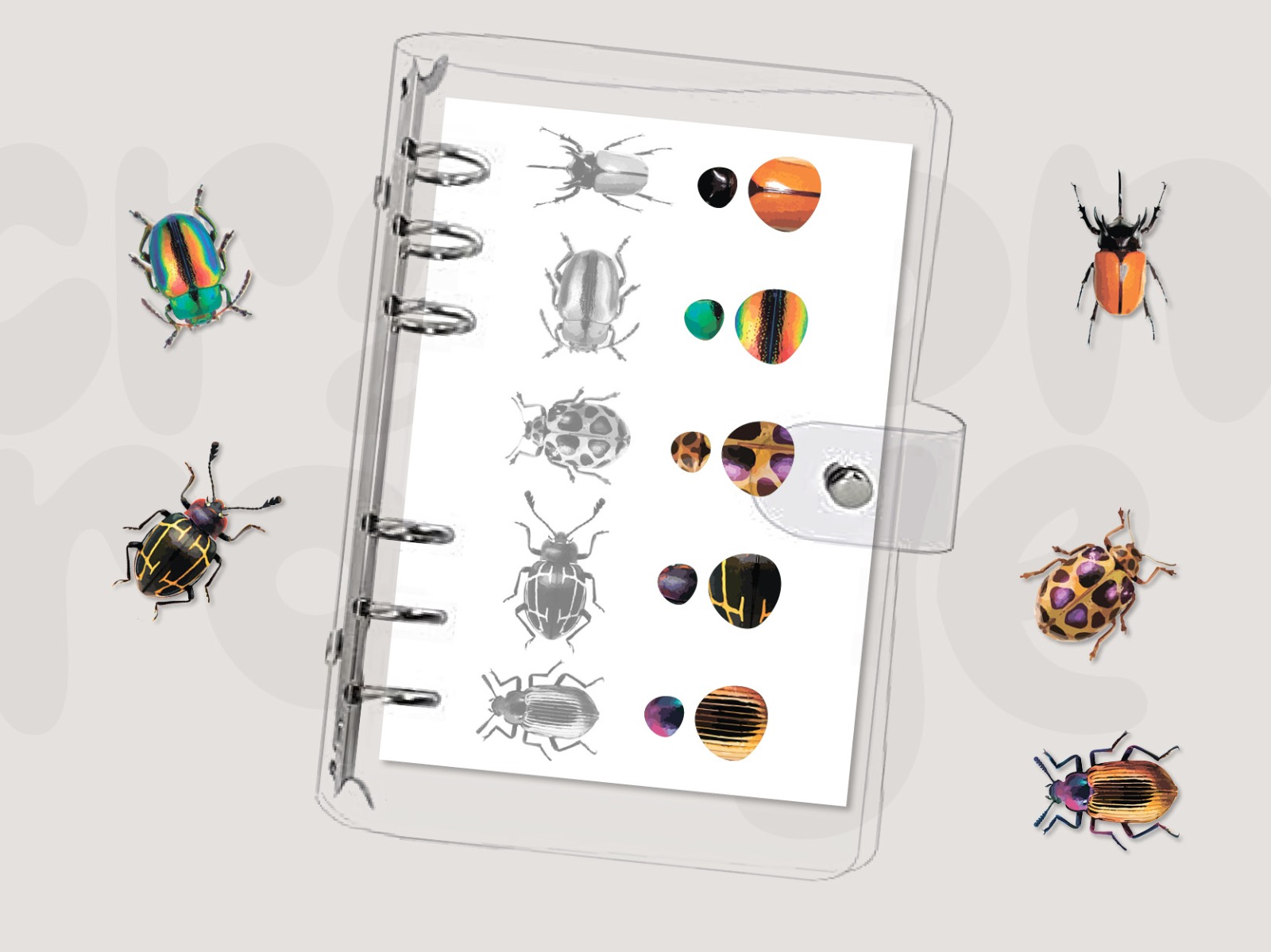 QUIET BOOK - Les insectes