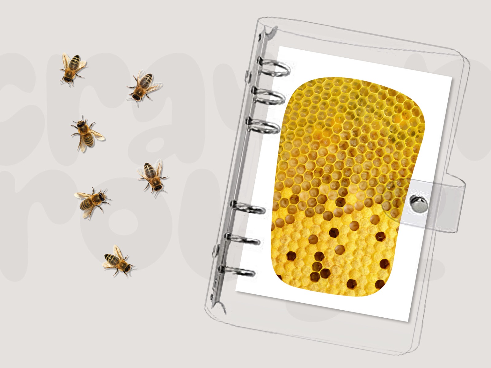 QUIET BOOK - Les insectes – Image 6