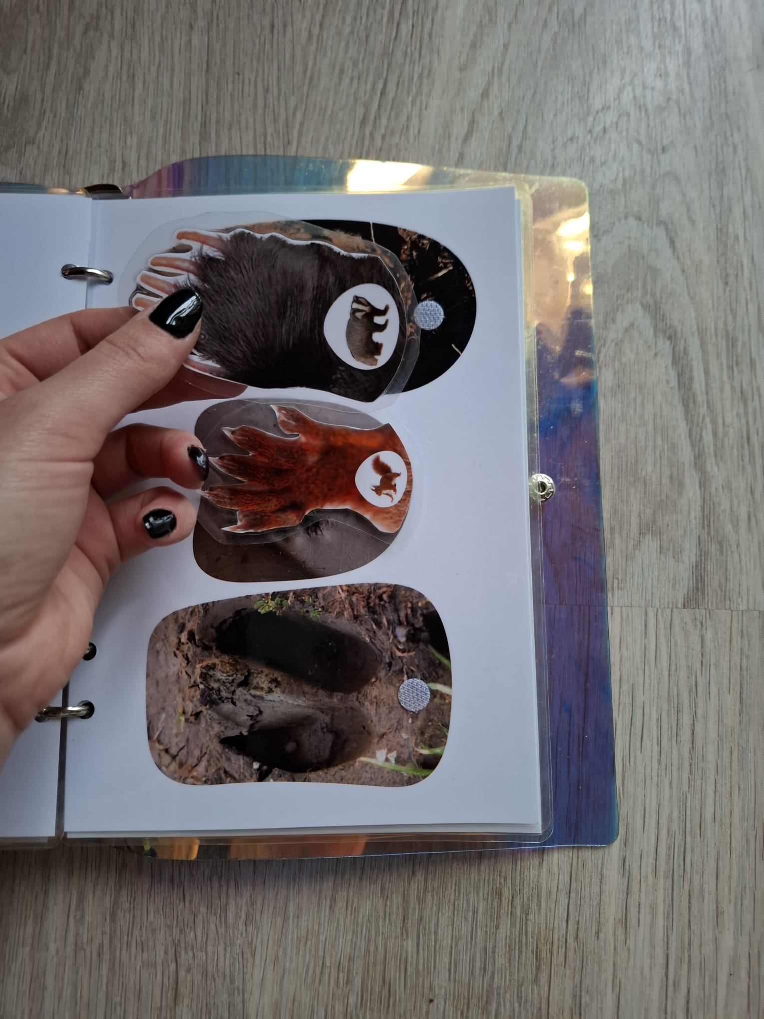 QUIET BOOK - La forêt – Image 4