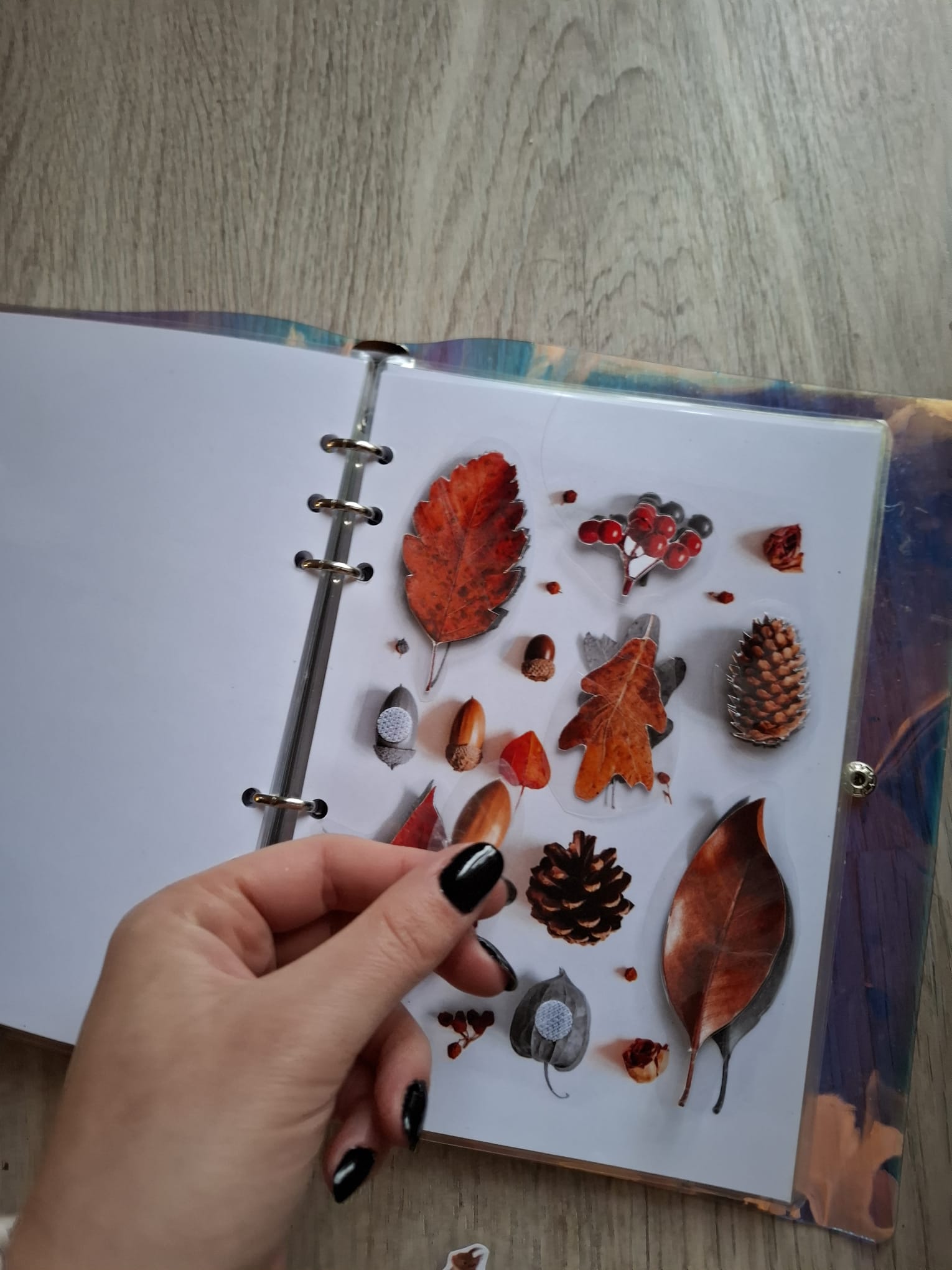 QUIET BOOK - La forêt – Image 6