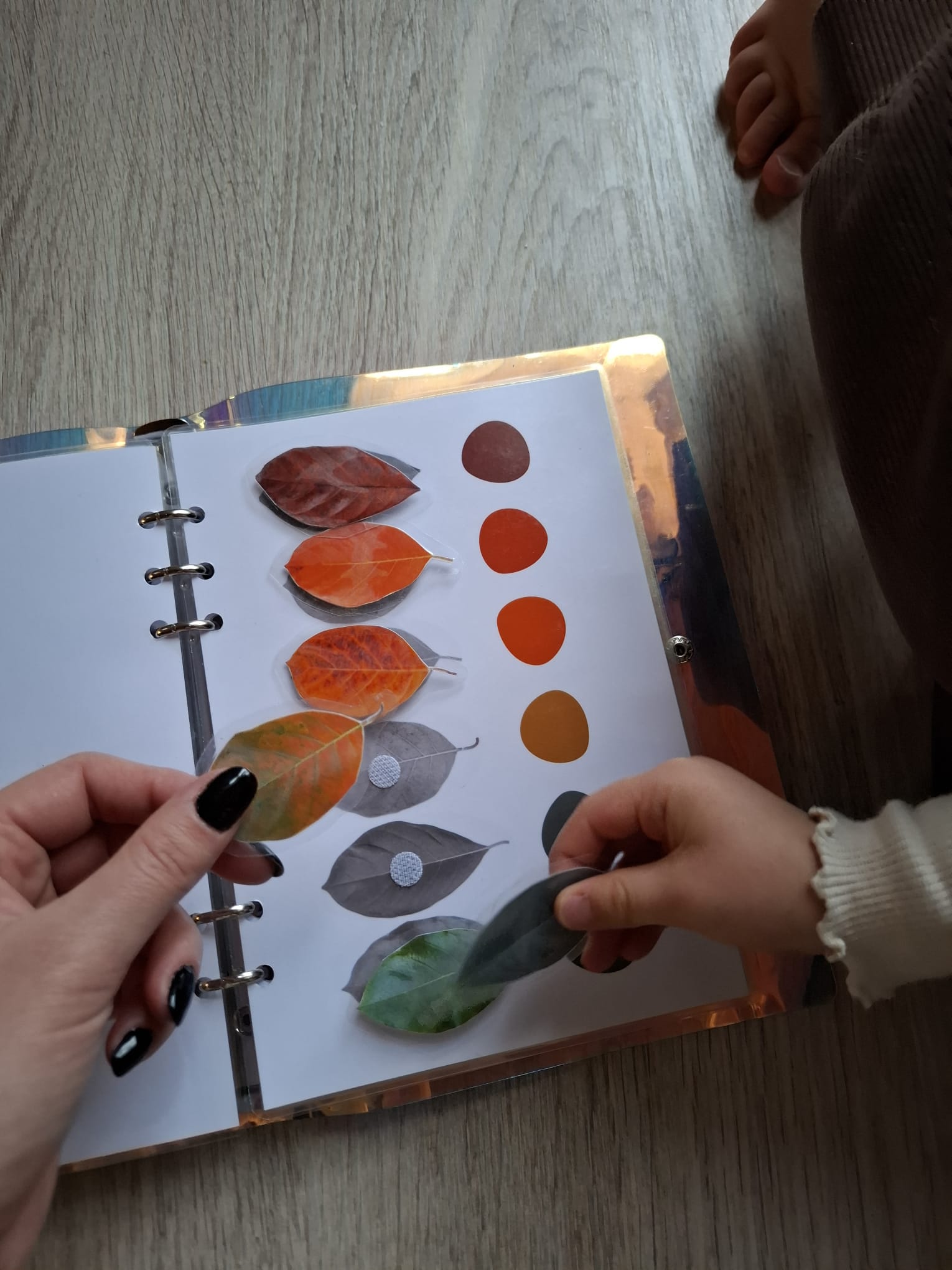 QUIET BOOK - La forêt – Image 7