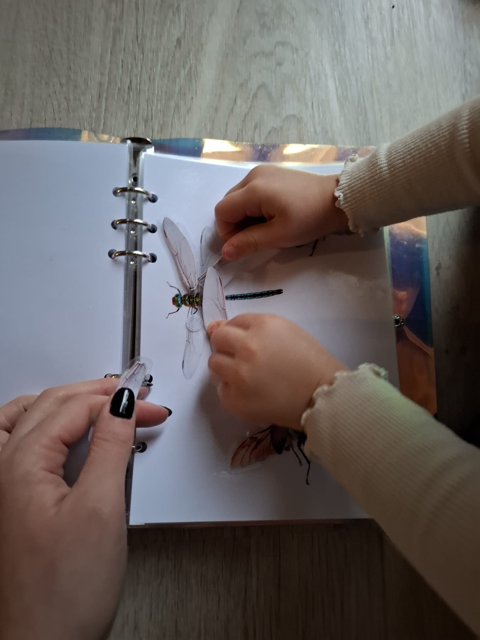 QUIET BOOK - Les insectes – Image 7