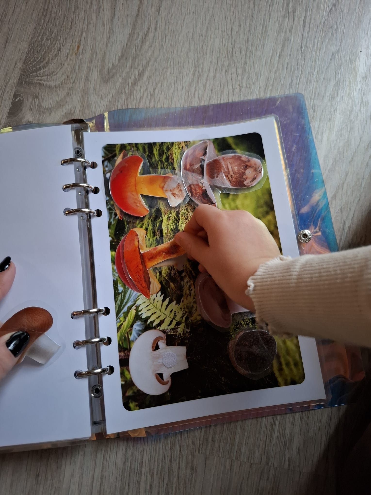 QUIET BOOK - La forêt – Image 8