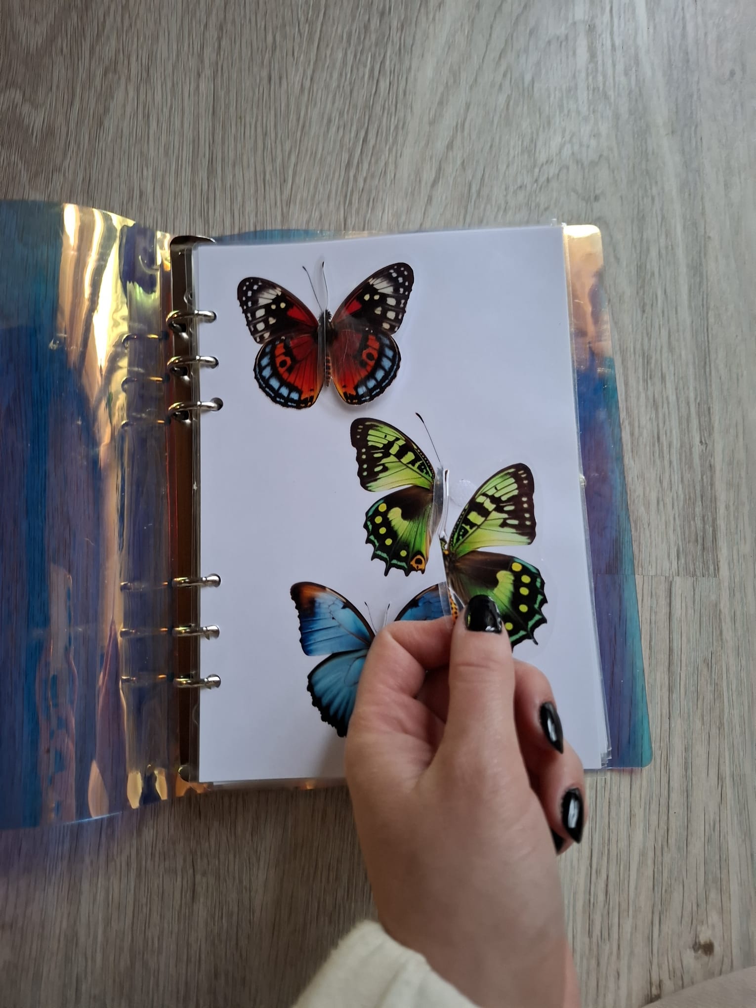 QUIET BOOK - Les insectes – Image 3