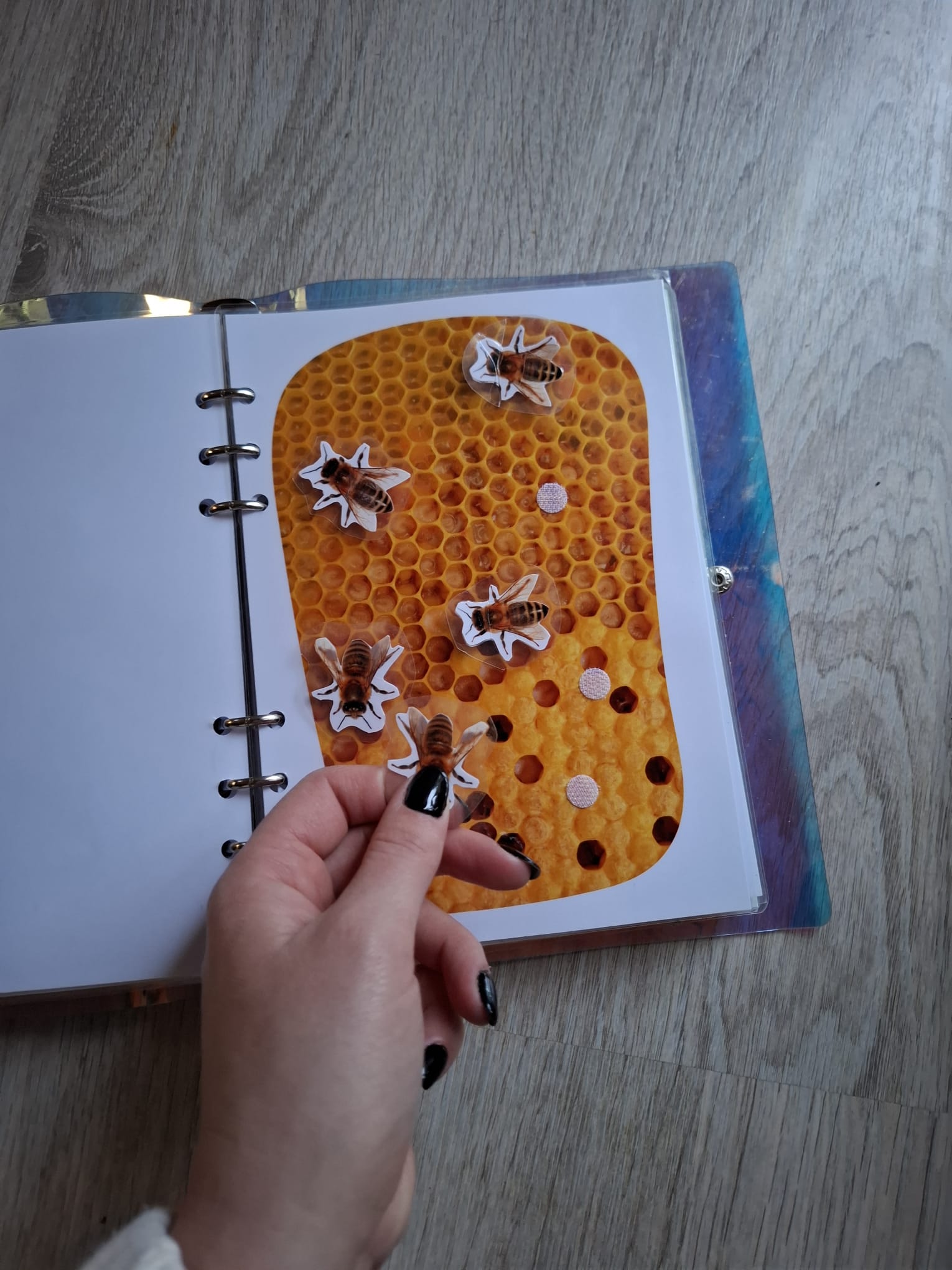 QUIET BOOK - Les insectes – Image 5