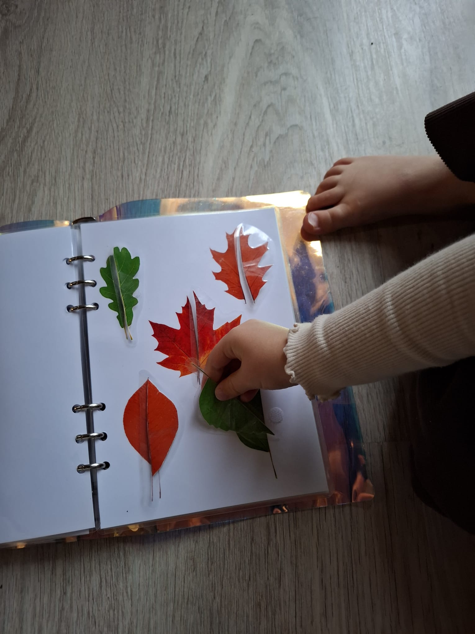 QUIET BOOK - La forêt – Image 2